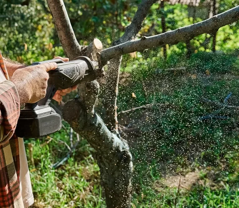 94e09a4902a6882c0024c0d9cef54915d566a0ab